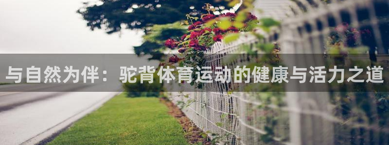 意昂2包怎么样