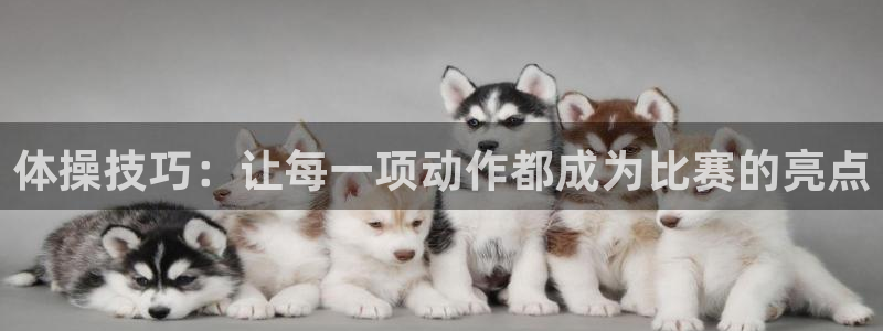 意昂2体育1招商