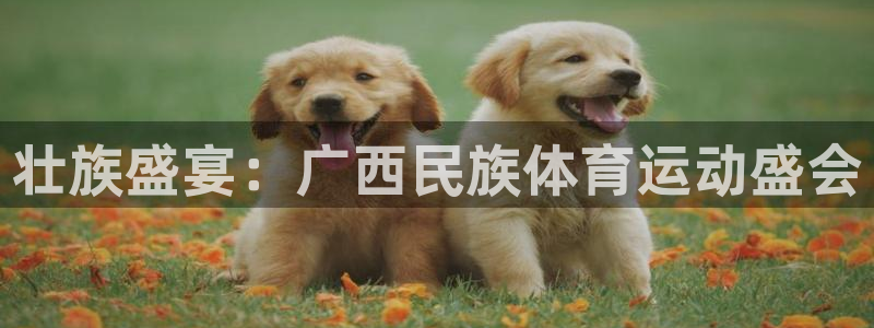 意昂2股份