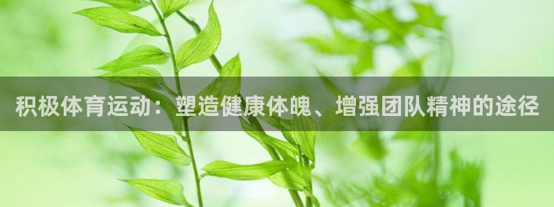 意昂注册