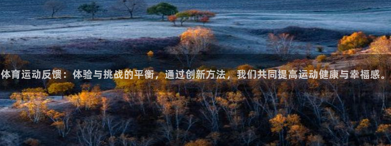 意昂2体育官网入口登录
