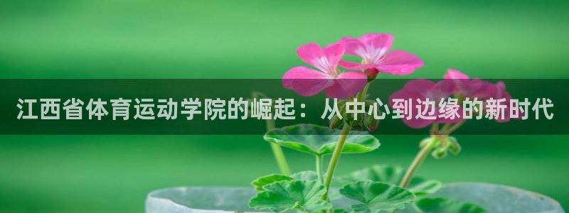 意昂2平台主管