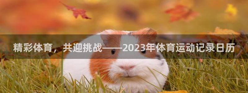 意昂2体育