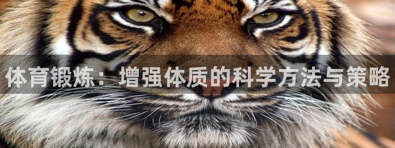 意昂2平台招商