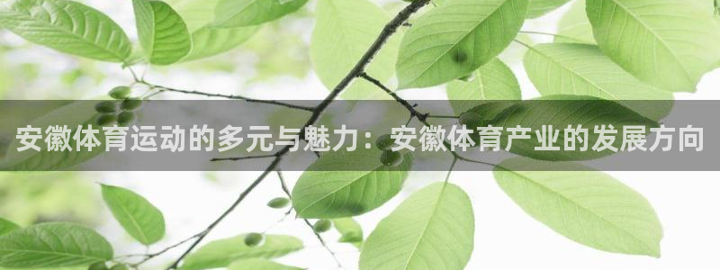 意昂2体育凯捷平台主管