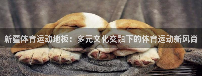 意昂25注册