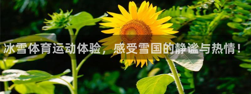 意昂2体育代理