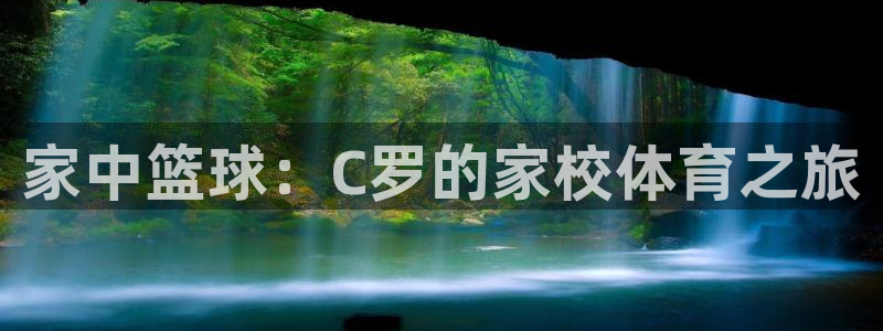 上海意昂2汽车电子有限公司